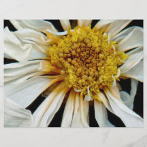 Flor - margarita - sol borracho tarjetones