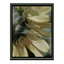 flor medio three.jpg tarjeta postal