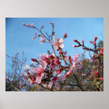 Flor MEEEE Poster