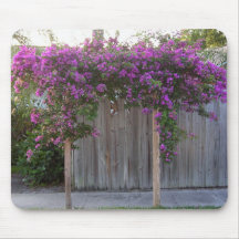 Flor Mousepad del Bougainvillea Alfombrilla De Ratón
