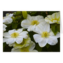 Flor Notecard Felicitacion