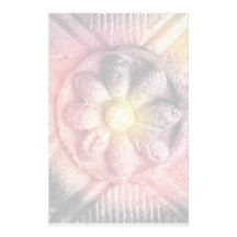 flor papeleria