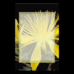 Flor papeleria