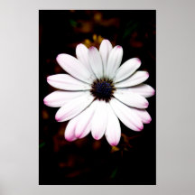 flor poster