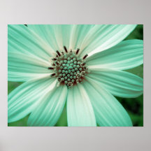 Flor Poster