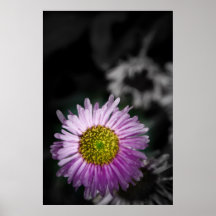 flor impresiones