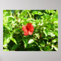 flor posters