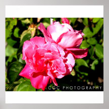 Flor Impresiones