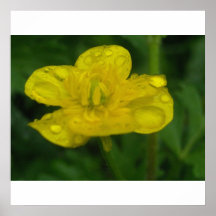 Flor Posters