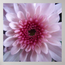 Flor profunda impresiones