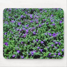 FLOR PÚRPURA BUSH ALFOMBRILLA DE RATÓN