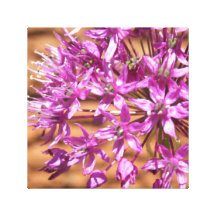Flor púrpura de la estrella impresión en lona estirada