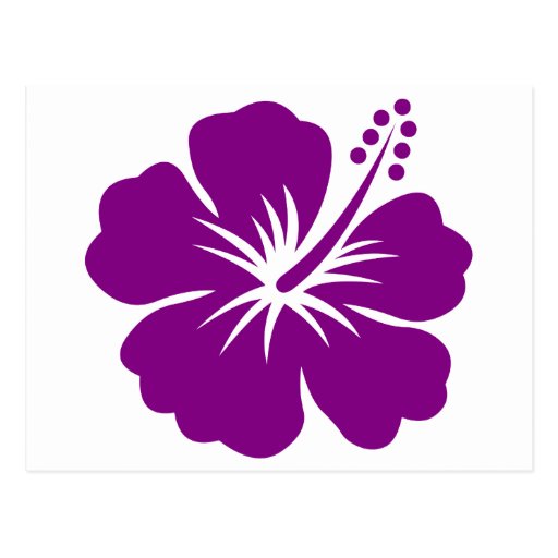 Flor de hawai - Imagui