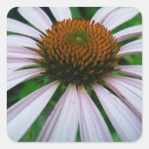 Flor púrpura del cono calcomanías cuadradass personalizadas