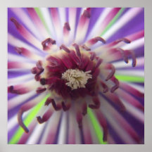 Flor púrpura desconocida poster