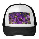 Flor púrpura en parque gorras de camionero