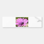 Flor púrpura pegatina de parachoque