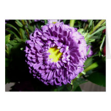 Flor púrpura tarjeton