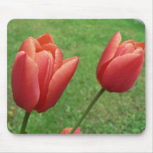 Flor roja de los tulipanes tapete de raton