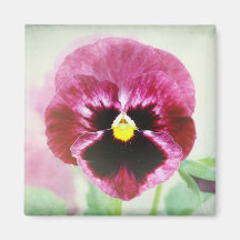 Flor roja del pensamiento de Borgoña Imán Para Frigorífico