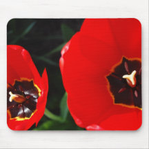 Flor roja Mousepad de la amapola Tapetes De Raton