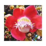 flor roja tropical lona estirada galerias