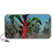 Flor roja y verde de la pata de canguro altavoz de viajar