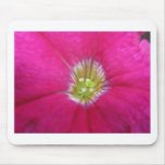 Flor rosada alfombrillas de raton