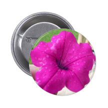 Flor rosada bonita pins