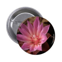Flor rosada de Bueatiful Pins