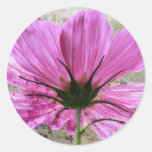 Flor rosada de Comos pegatinas