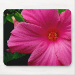 Flor rosada grande, hermosa tapete de raton