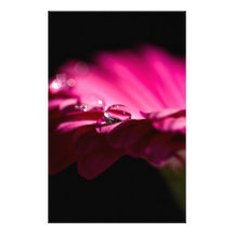 flor rosada papeleria