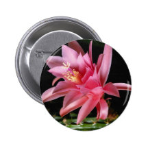 Flor rosada pin