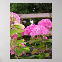 Flor rosada posters