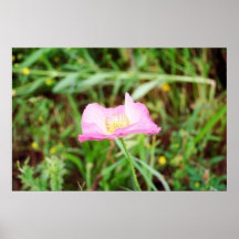 Flor rosada poster