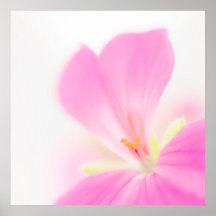Flor rosada posters
