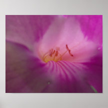 Flor rosada posters