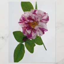 Flor rosada tarjeton