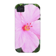 Flor rosada vibe iPhone 4 carcasa