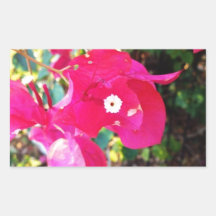Flor rosada y blanca rectangular pegatina