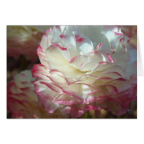 Flor rosada y blanca tarjetas