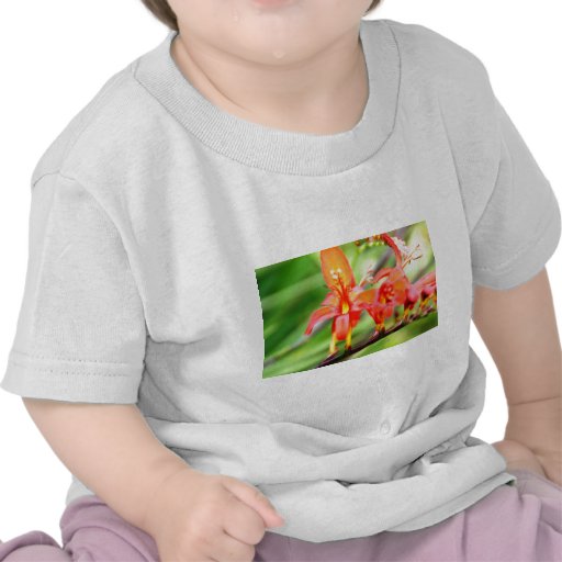 Flor salvaje camisetas