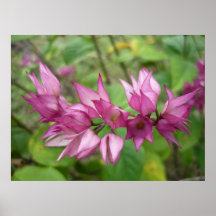 Flor salvaje posters