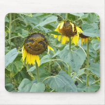 Flor sonriente Mousemat de los girasoles Alfombrillas De Ratones
