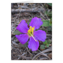 Flor Sri Lanka Tarjetón