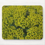 flor tapetes de ratones