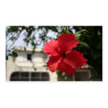 Flor Tarjeta De Visita