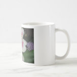 flor tazas