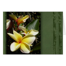 Flor tropical amarilla del plumeria felicitacion 